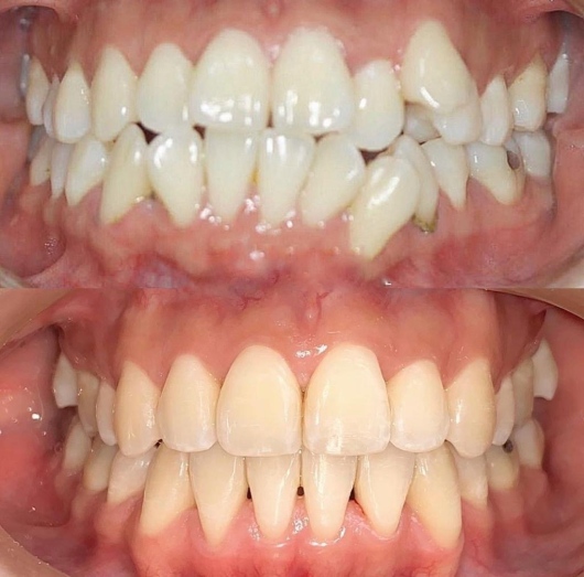 Bárbara Castellanos Solís-6