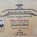 Ampliar imagen: certificate 87