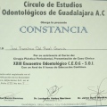 Ampliar imagen: certificate 48