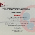 Ampliar imagen: certificate 13