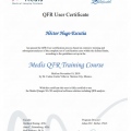 Ampliar imagen: certificate 11