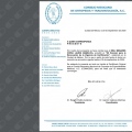 Ampliar imagen: certificate 1