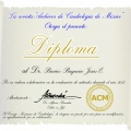 Ampliar imagen: certificate 1