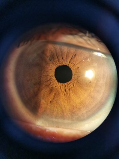 Sergio Alberto Ramirez Daher-6