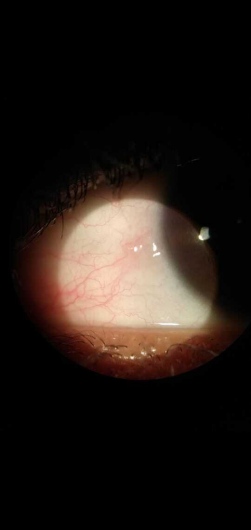 Karla Paola Chaparro Hernández-8