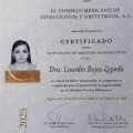 Ampliar imagen: certificate 8