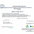 Ampliar imagen: certificate 23