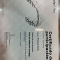 Ampliar imagen: certificate 5