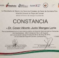 Ampliar imagen: certificate 13