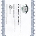 Ampliar imagen: certificate 13