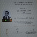 Ampliar imagen: certificate 1