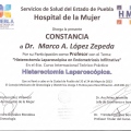Ampliar imagen: certificate 116