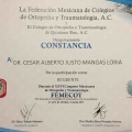 Ampliar imagen: certificate 14