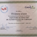 Ampliar imagen: certificate 6