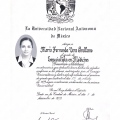 Ampliar imagen: certificate 2