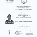 Ampliar imagen: certificate 2