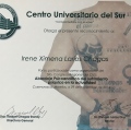 Ampliar imagen: certificate 11