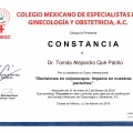 Ampliar imagen: certificate 22