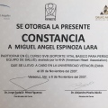 Ampliar imagen: certificate 8