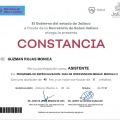 Ampliar imagen: certificate 13