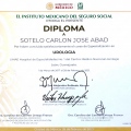 Ampliar imagen: certificate 3