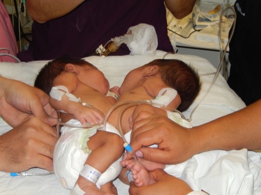 Gustavo Eduardo Polo Medina-8