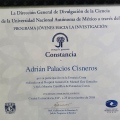 Ampliar imagen: certificate 8