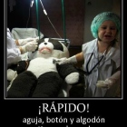 Dr. José Antonio Gallardo Burgara