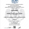 Ampliar imagen: certificate 3