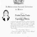 Ampliar imagen: certificate 5