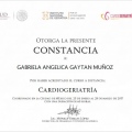 Ampliar imagen: certificate 9