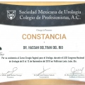Ampliar imagen: certificate 20