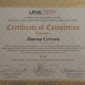 Ampliar imagen: certificate 4
