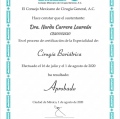 Ampliar imagen: certificate 4