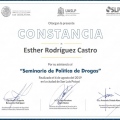 Ampliar imagen: certificate 6
