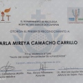 Ampliar imagen: certificate 16