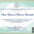 Ampliar imagen: certificate 2