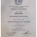 Ampliar imagen: certificate 6