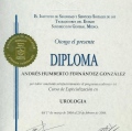 Ampliar imagen: certificate 2
