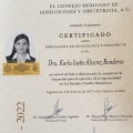 Ampliar imagen: certificate 1