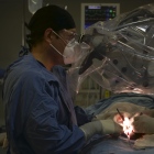 Dr. Ignacio Eduardo Vega Tepos