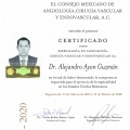 Ampliar imagen: certificate 3