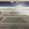 Ampliar imagen: certificate 3
