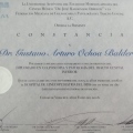 Ampliar imagen: certificate 3
