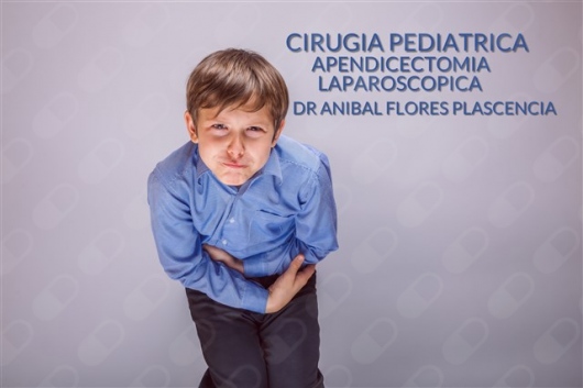 Anibal Enrique Flores Plascencia-9