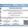 Ampliar imagen: certificate 2