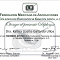Ampliar imagen: certificate 2