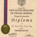 Ampliar imagen: certificate 7