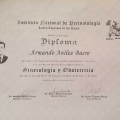 Ampliar imagen: certificate 2
