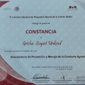 Ampliar imagen: certificate 5